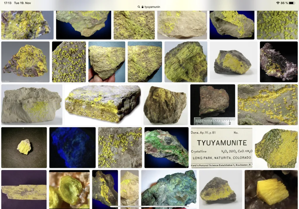 Results of an image search on Tyuyamunite - the uranium mineral which gave Tyuya its colors 
