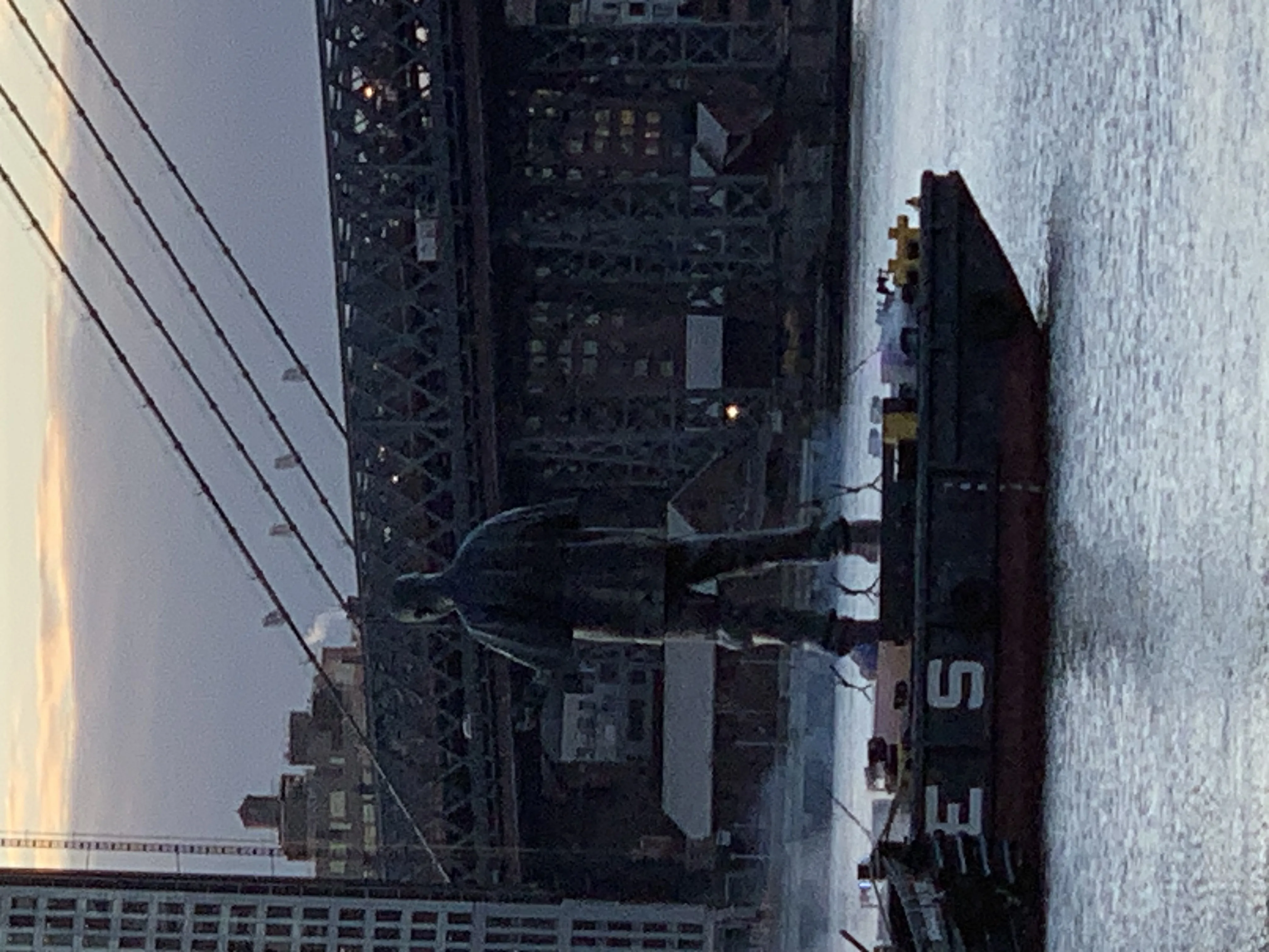 East River Giant