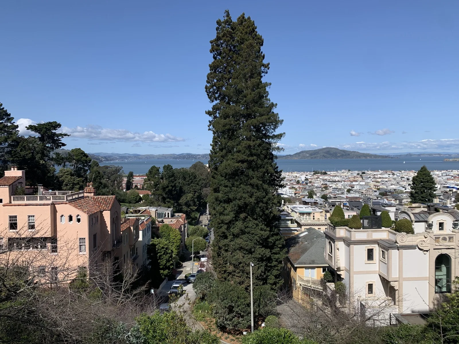 From Pacific Hights through the Presidio to Baker Beach